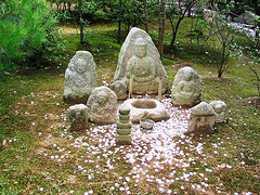 Wishing Well Coin Game